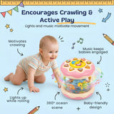 TibaToes™ Crawl & Glow Musical Rolling Toy