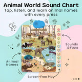 TibaToes™ Talking Alphabet Learning Wall Chart