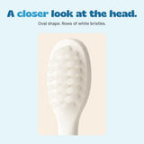 Close view of the actual oval brush head and its rows of short white bristles.