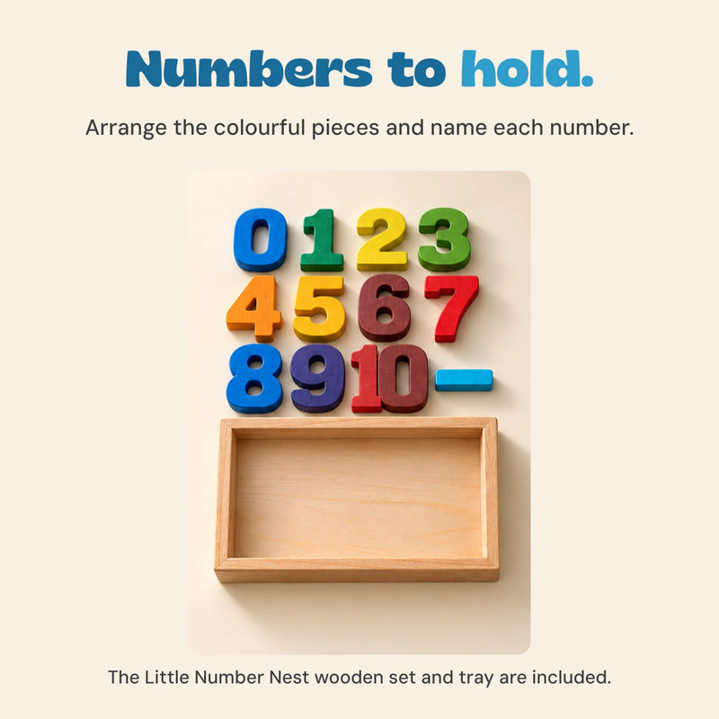 Colourful NumberNest wooden numbers arranged beside their empty rectangular wooden tray.