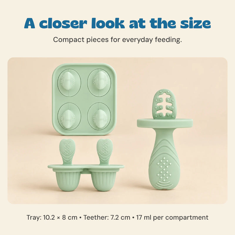 A closer look at the size. Compact pieces for everyday feeding.