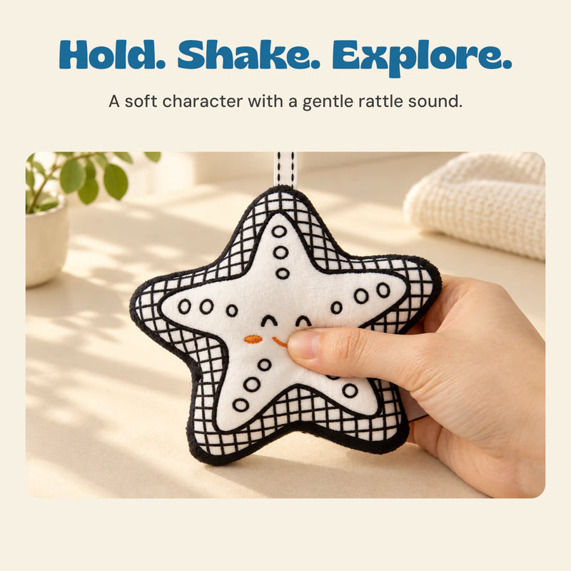 An adult hand holds the soft starfish rattle above a warm sunlit table.