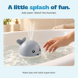 An adult hand reaches beside the grey whale as its fountain sprays into shallow bath water.