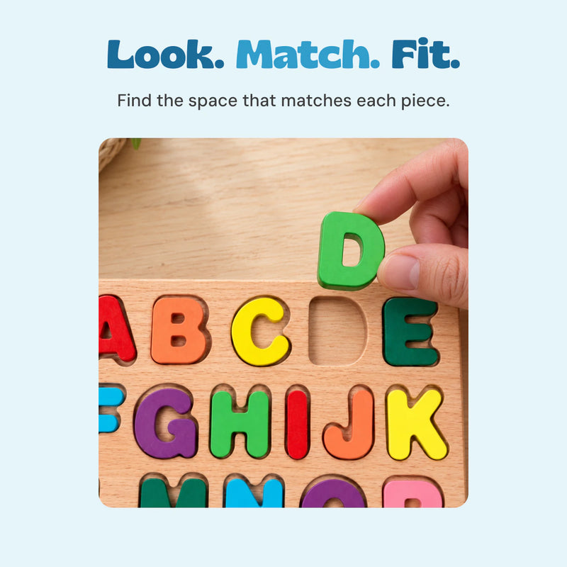 An adult hand holding the green letter D above its matching space in the wooden alphabet puzzle.