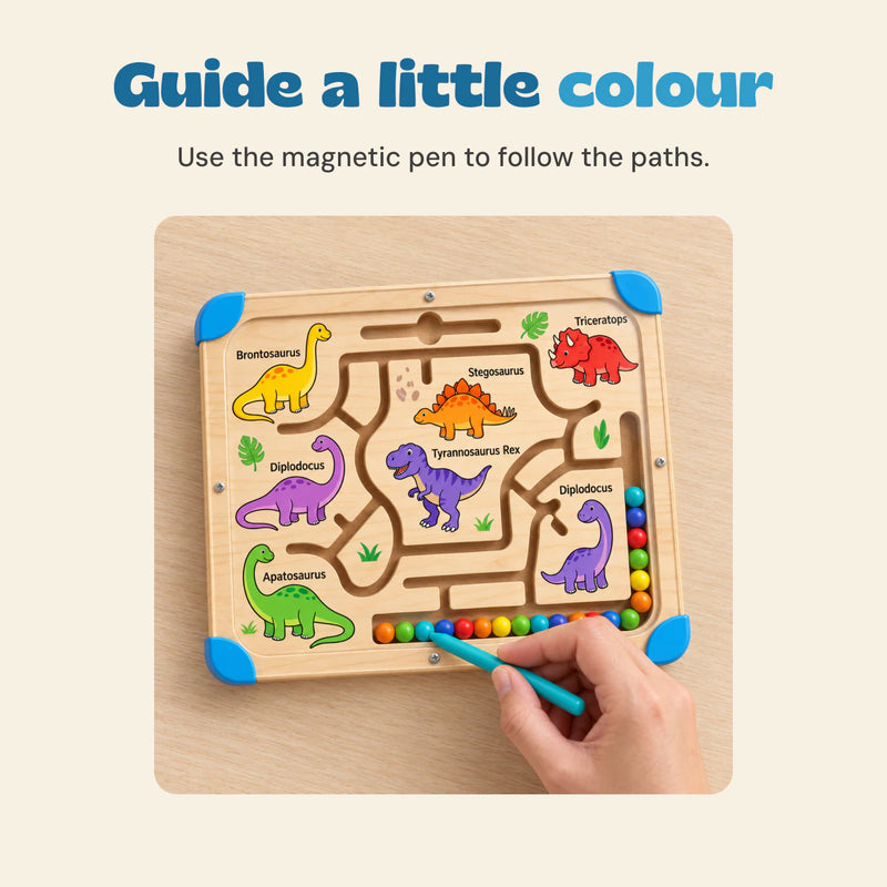 Guide a little colour. Use the magnetic pen to follow the paths.