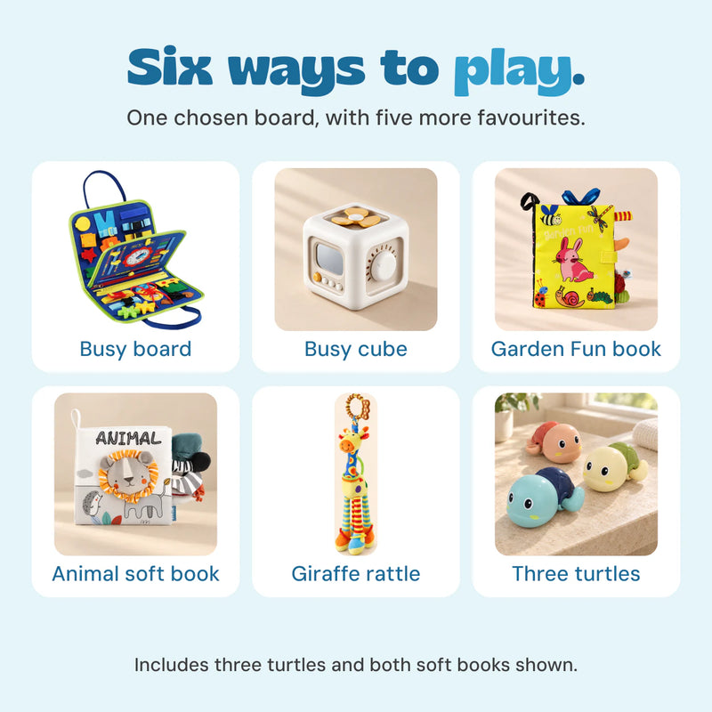 Six included product types: one chosen busy board, busy cube, Garden Fun book, Animal soft book, giraffe rattle and three turtles.