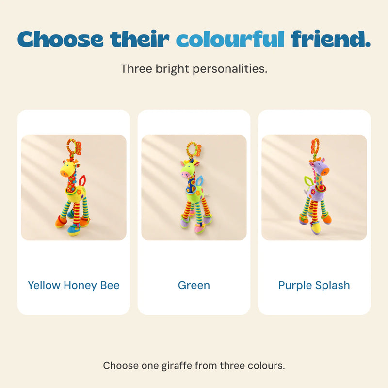 Three individual giraffe rattle choices labelled Yellow Honey Bee, Green and Purple Splash.