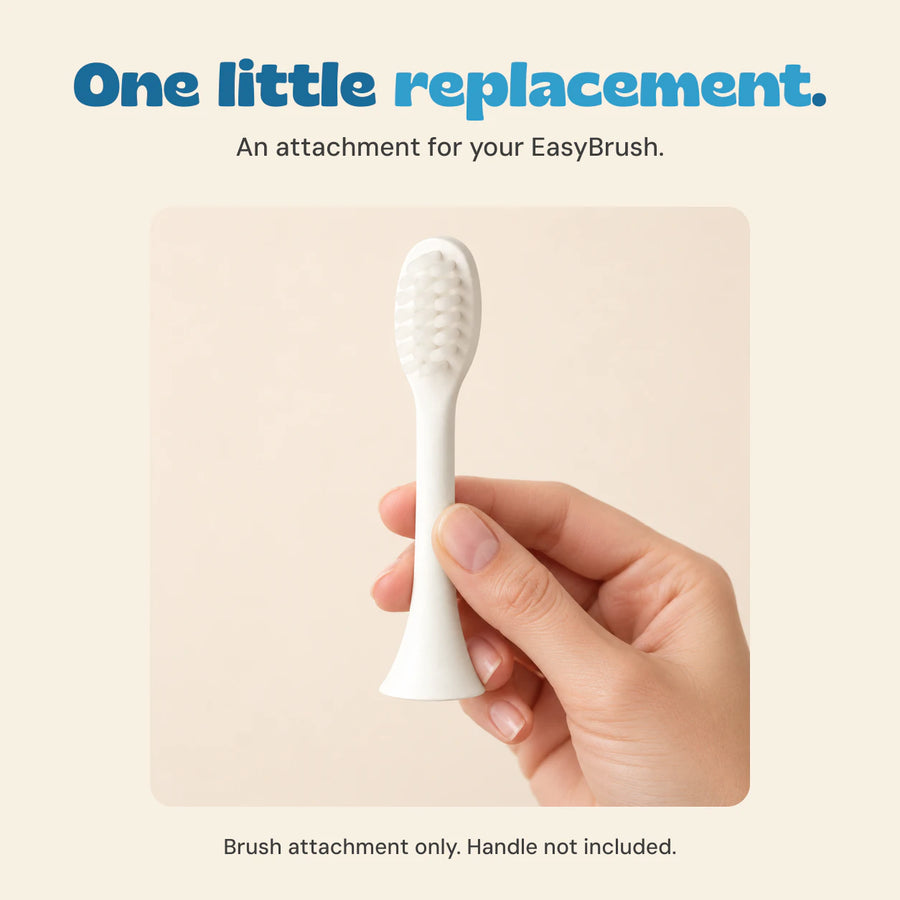 An adult hand holds the white brush attachment. The full brush head, stem and flared connector are visible. Handle not included.