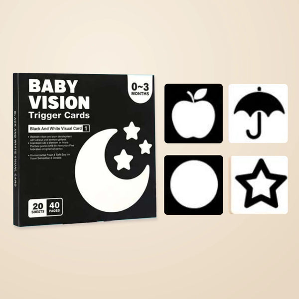Black & white vision card box with four unchanged example cards for the live 0–3 Months option.