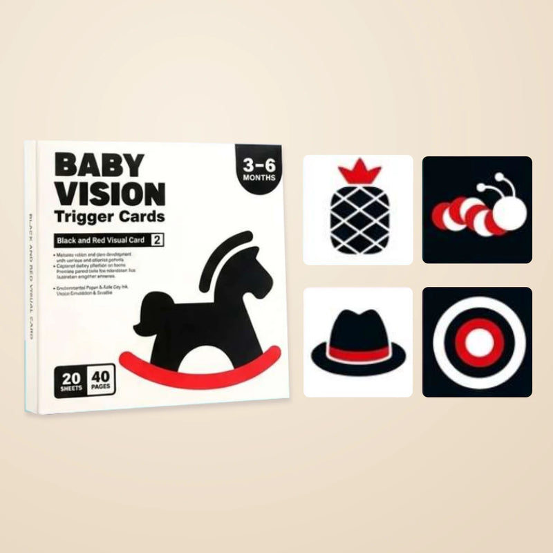 Black, white & red vision card box with four unchanged example cards for the live 3–6 Months option.