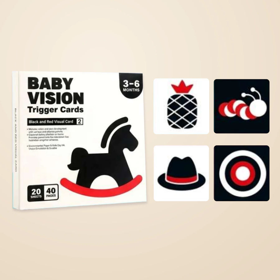 Black, white & red vision card box with four unchanged example cards for the live 3–6 Months option.