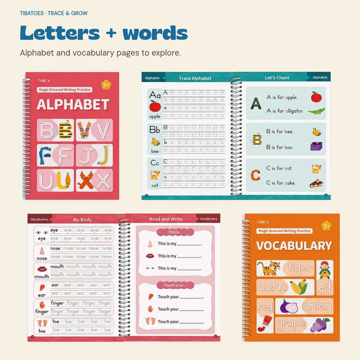 Alphabet and Vocabulary workbook covers alongside real interior pages.