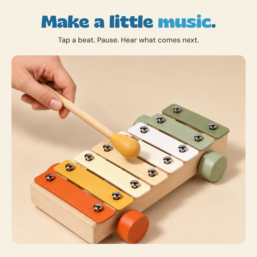 TibaToes Make a little music